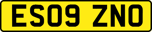 ES09ZNO