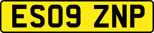 ES09ZNP