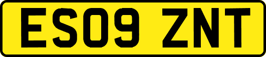 ES09ZNT