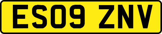 ES09ZNV