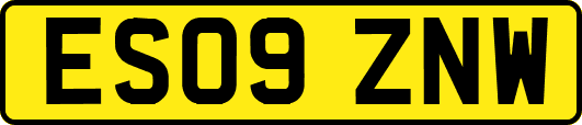 ES09ZNW