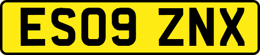 ES09ZNX
