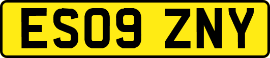 ES09ZNY