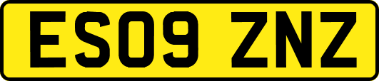 ES09ZNZ