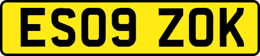 ES09ZOK