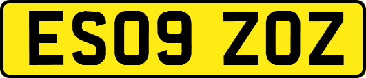 ES09ZOZ