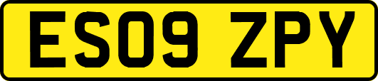 ES09ZPY