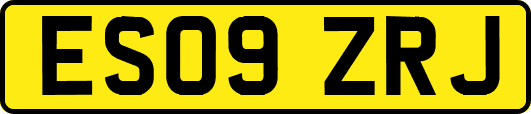 ES09ZRJ