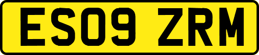 ES09ZRM
