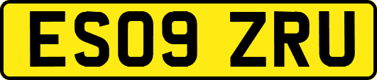 ES09ZRU