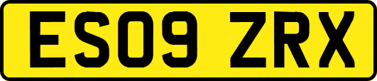ES09ZRX