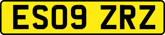 ES09ZRZ
