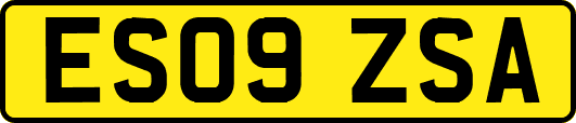 ES09ZSA