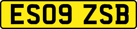 ES09ZSB