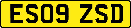 ES09ZSD
