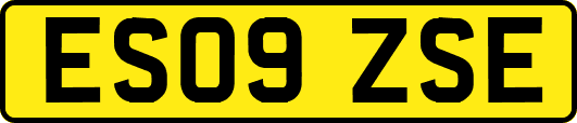 ES09ZSE