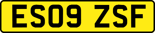 ES09ZSF