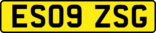 ES09ZSG