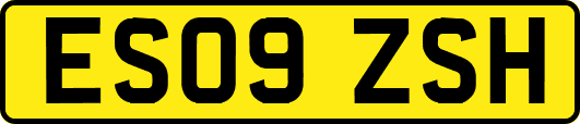 ES09ZSH