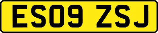 ES09ZSJ