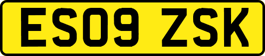 ES09ZSK