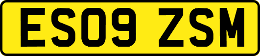 ES09ZSM