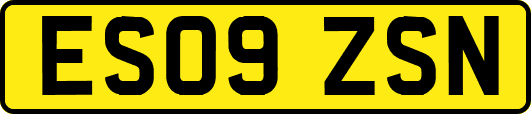 ES09ZSN