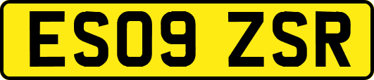 ES09ZSR