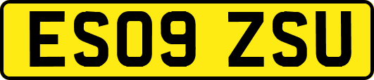 ES09ZSU