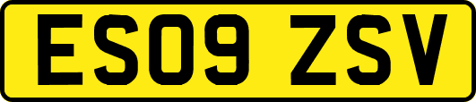 ES09ZSV