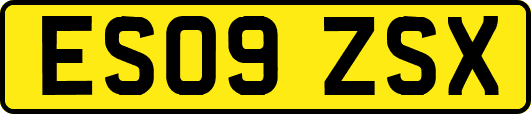 ES09ZSX