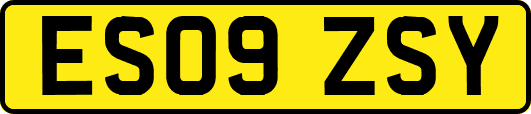 ES09ZSY