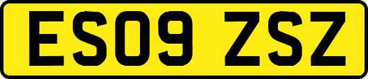ES09ZSZ
