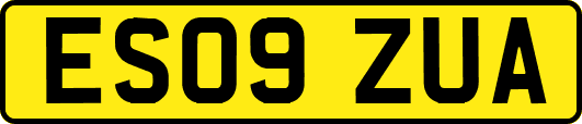 ES09ZUA