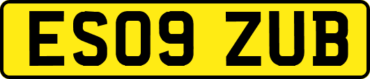 ES09ZUB