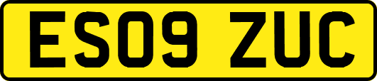 ES09ZUC
