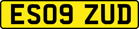 ES09ZUD