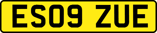 ES09ZUE