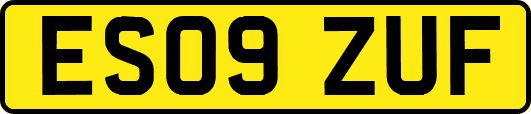 ES09ZUF