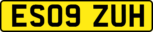 ES09ZUH
