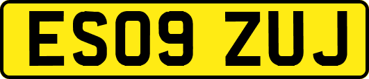 ES09ZUJ