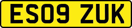 ES09ZUK