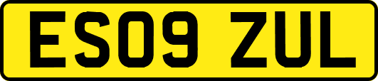 ES09ZUL