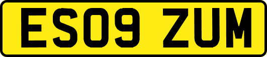 ES09ZUM