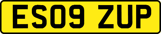 ES09ZUP