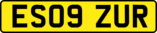 ES09ZUR