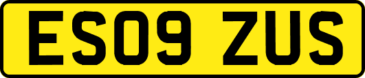 ES09ZUS