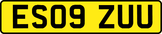 ES09ZUU