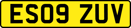 ES09ZUV