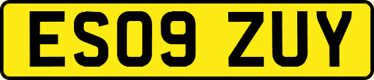 ES09ZUY